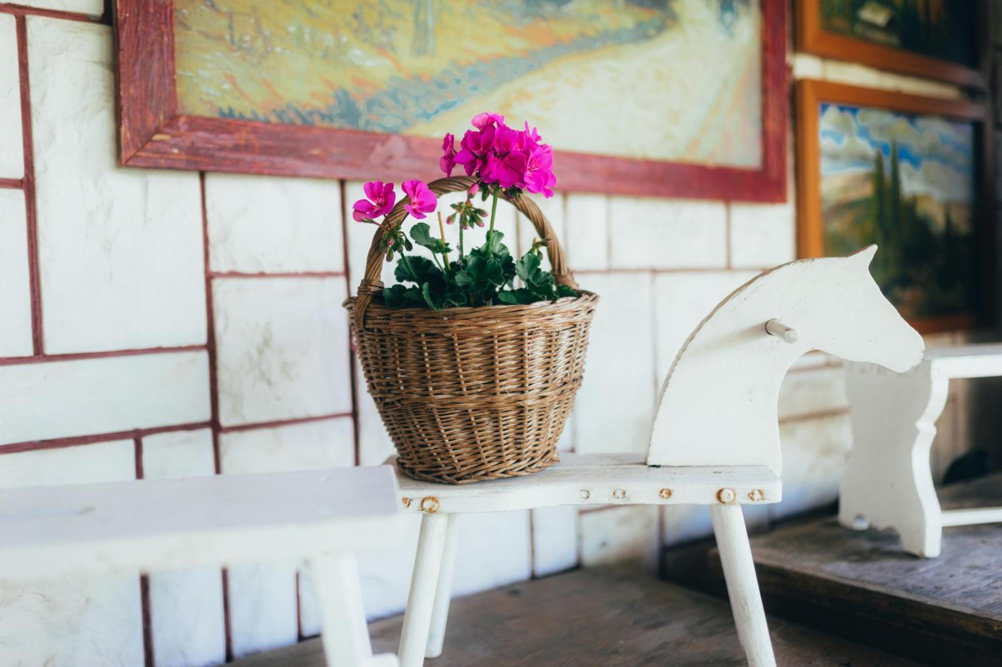 Apartmany Friends Liptov Liptovský Mikuláš Dış mekan fotoğraf